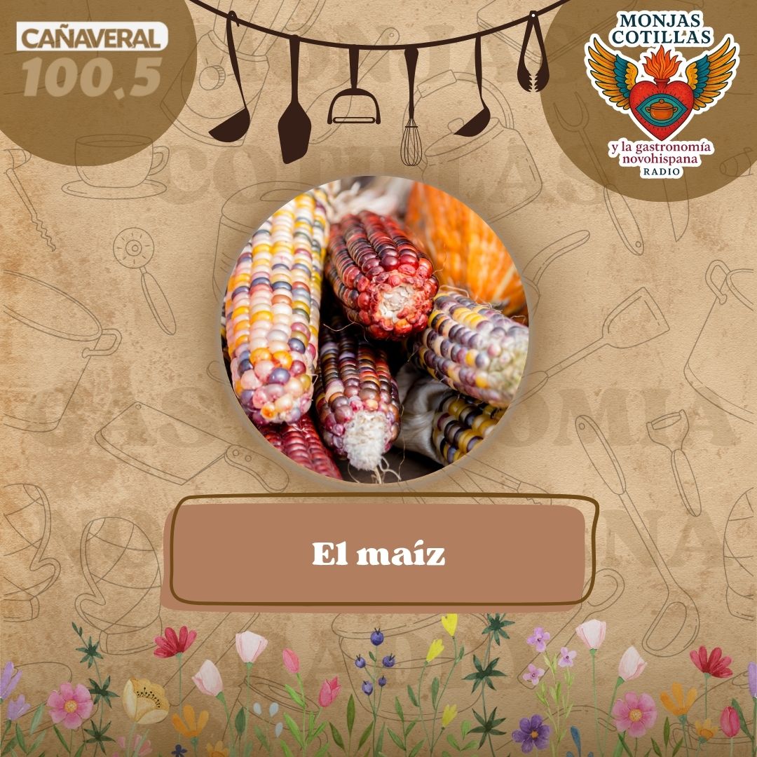 El maíz