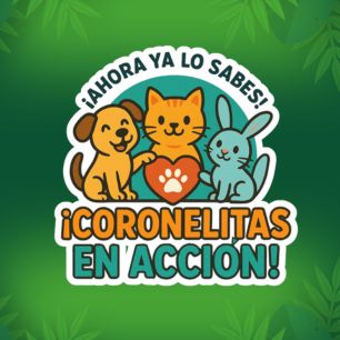 “¡Ahora, ya lo sabes! ¡Coronelitas en acción!”