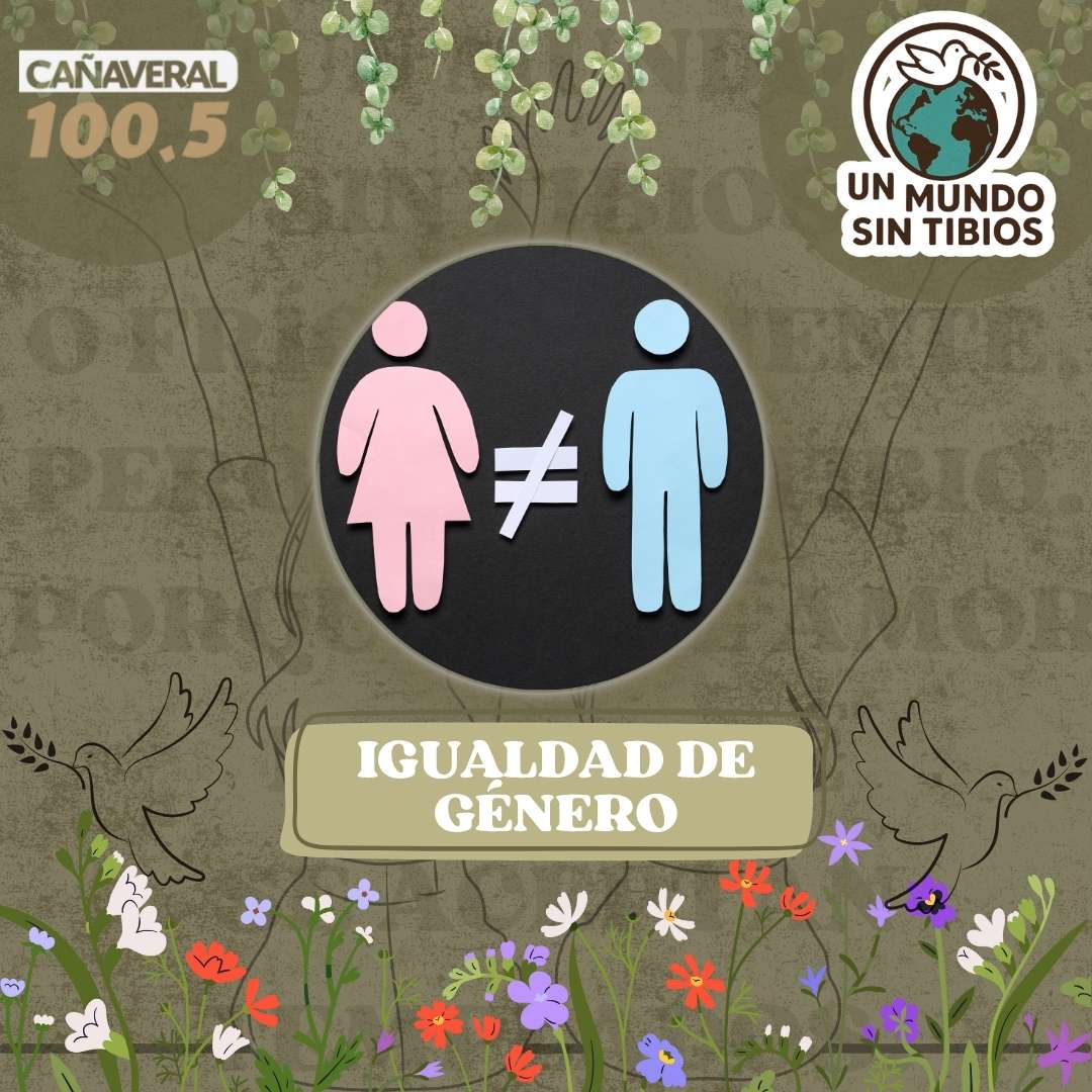 Igualdad de género – 20 de noviembre 2025