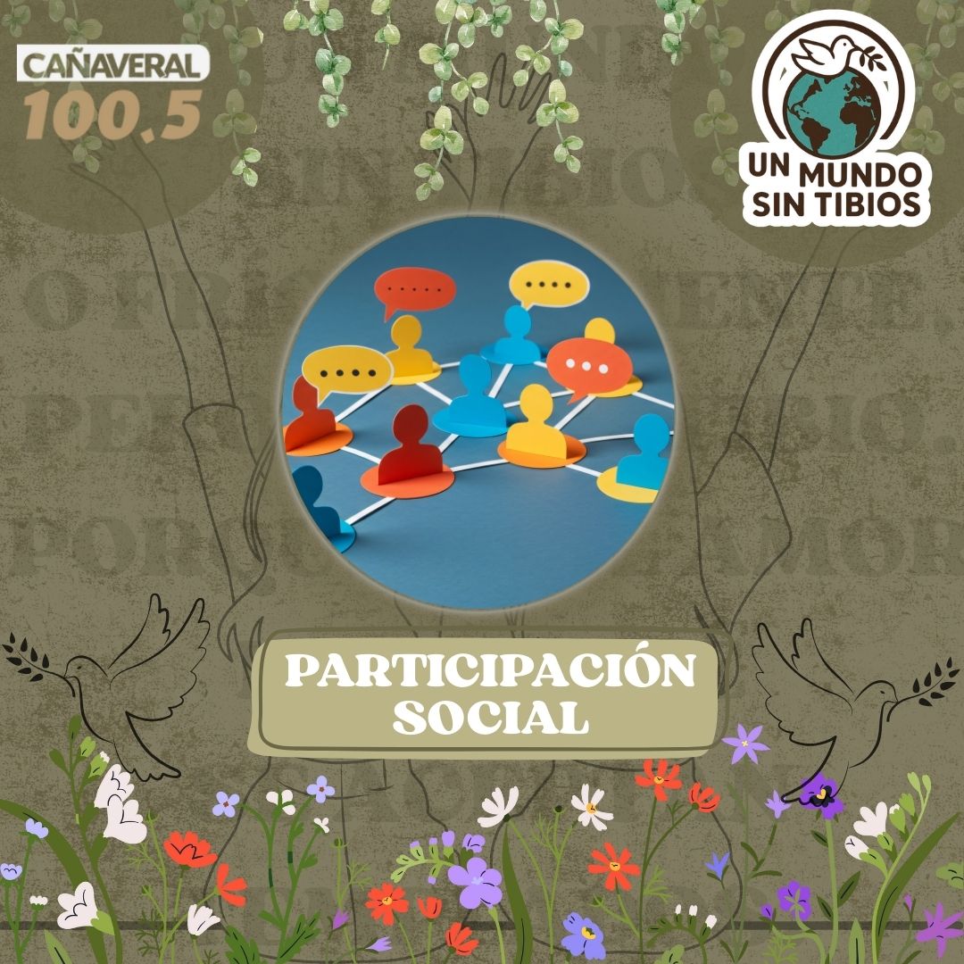 Participación Social – 27 de noviembre 2025