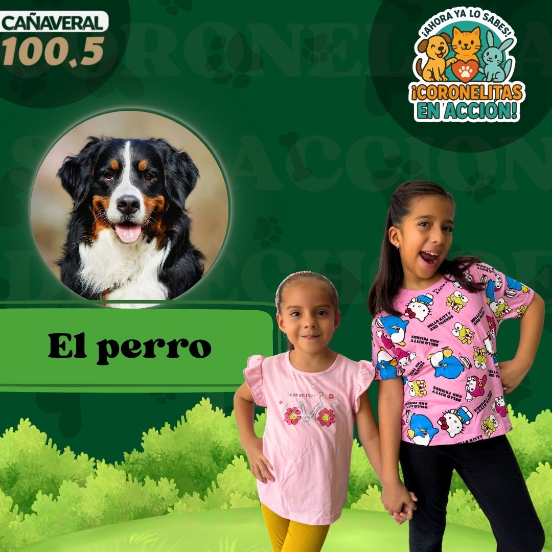 El perro