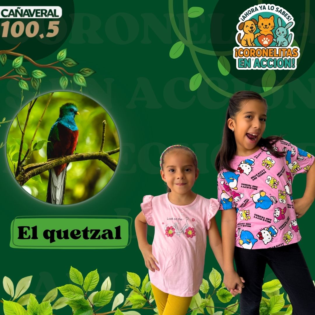 El quetzal