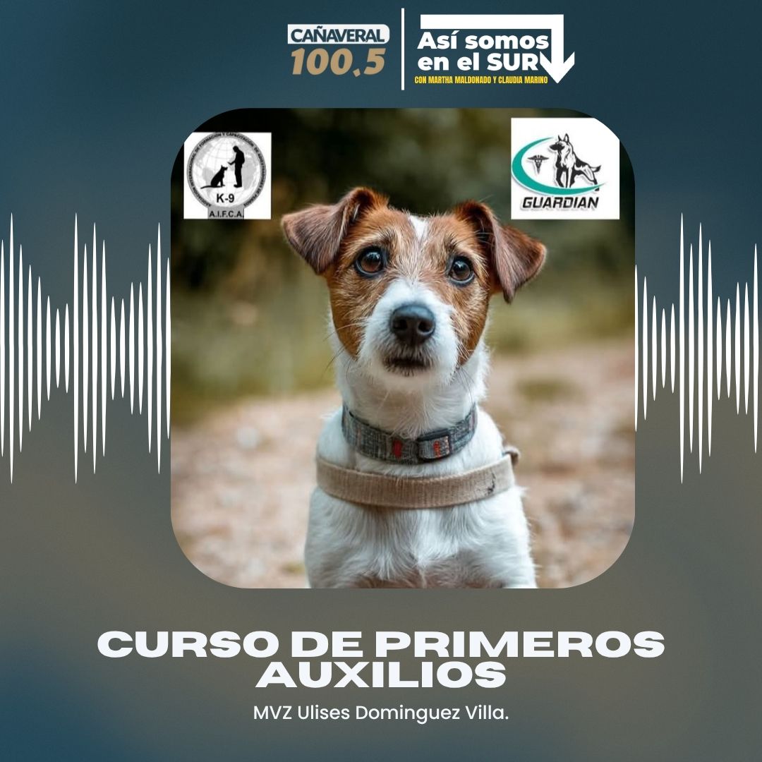 Curso de primeros auxilios – 13 de abril del 2026
