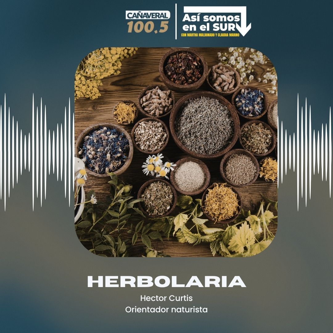 Herbolaria – 08 de abril del 2026