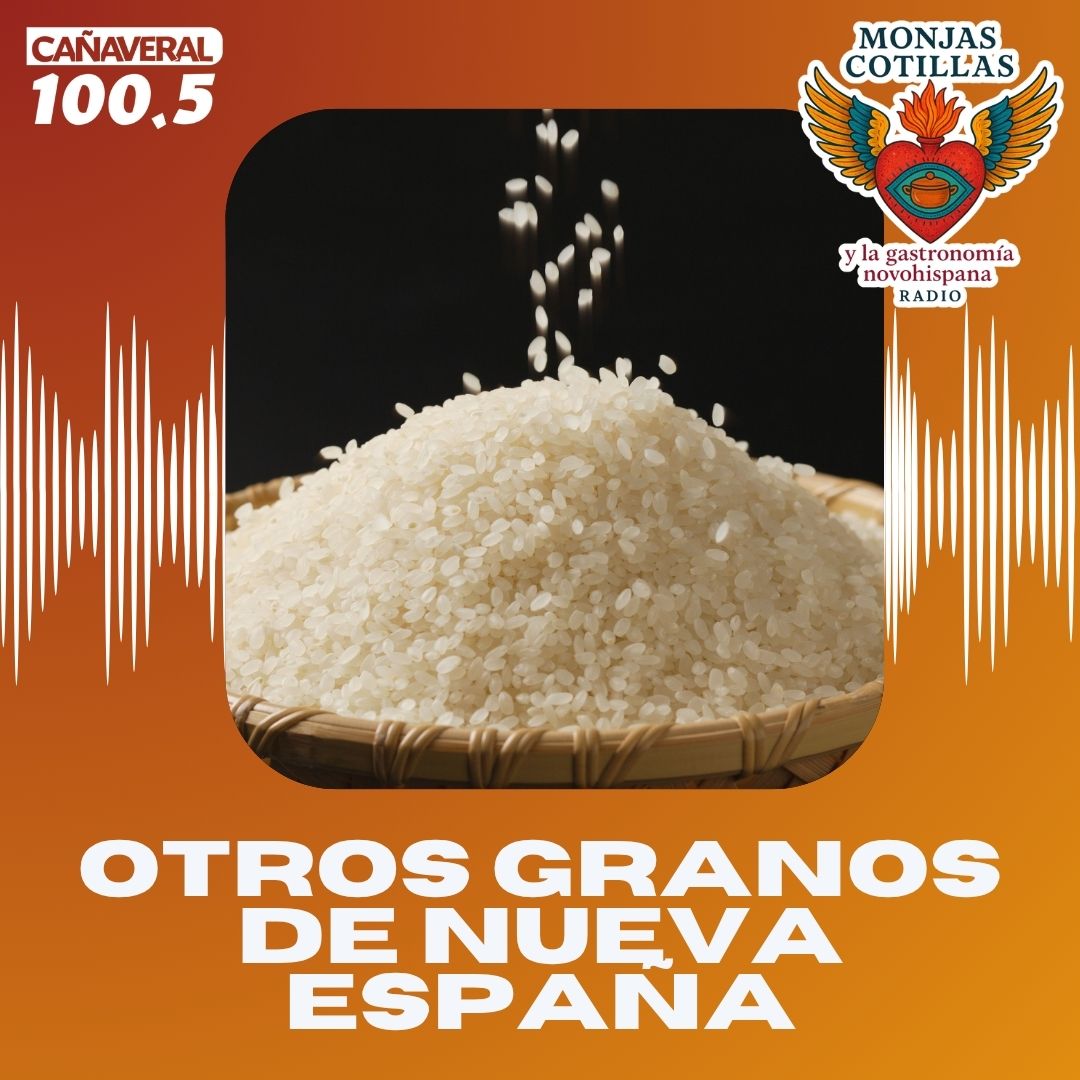 Otros granos de Nueva España – 2.ª temporada