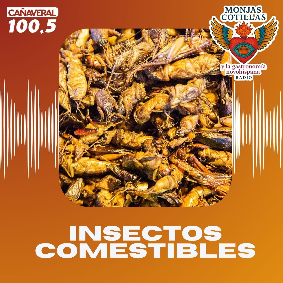 Insectos Comestibles – 2.ª temporada