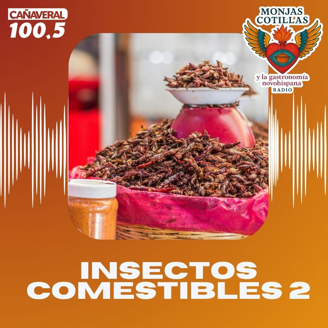 Insectos comestibles 2 – 2.ª temporada