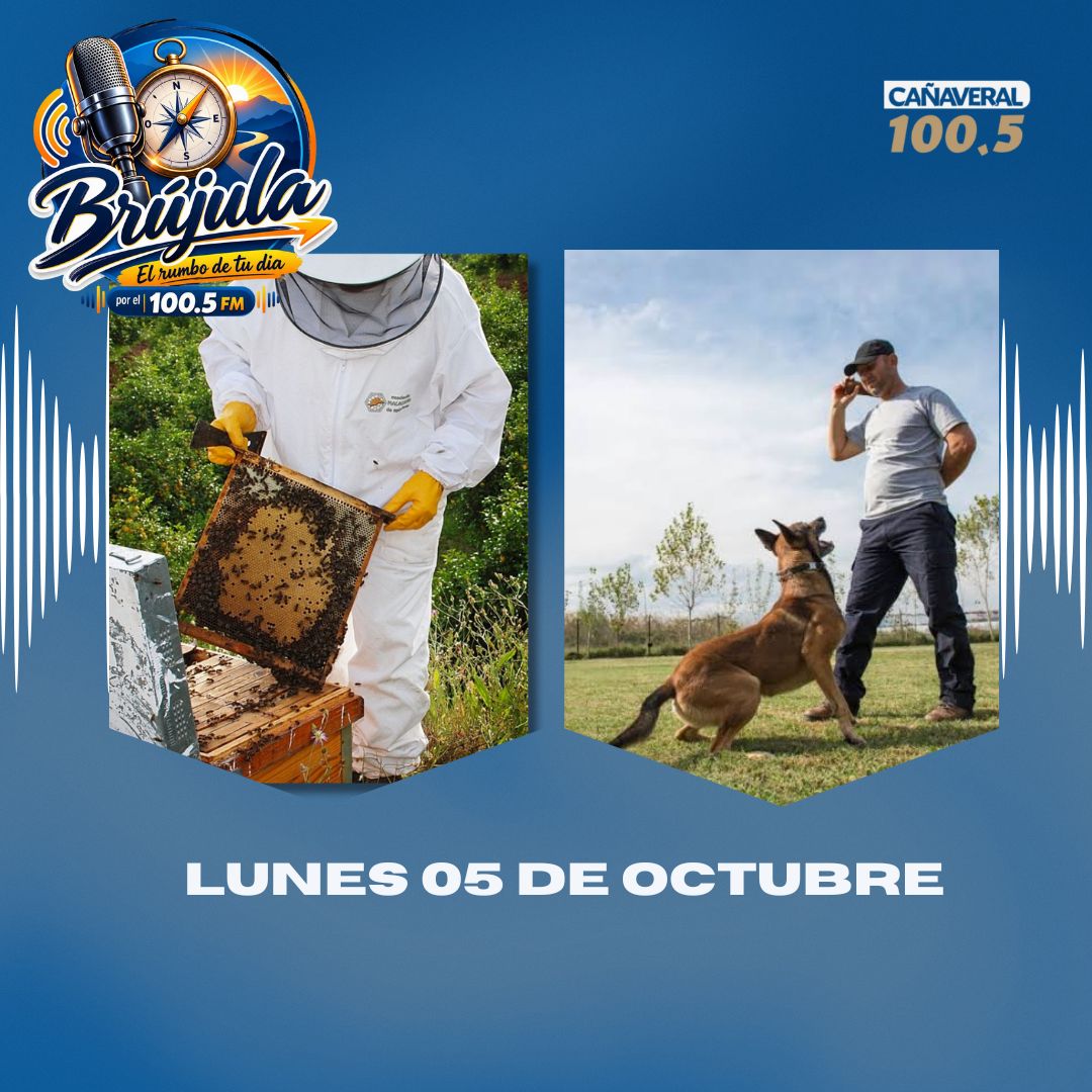 Brújula- 05 de octubre del 2026